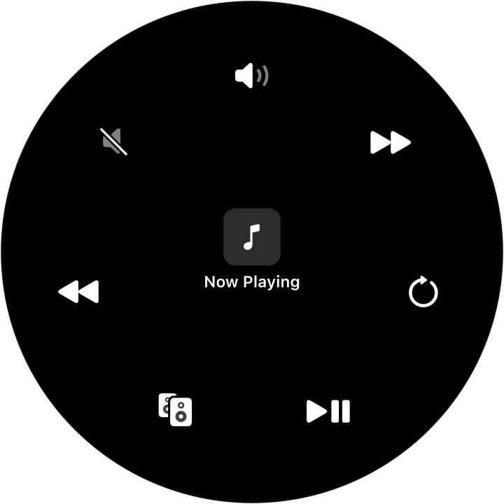 The Music dial: volume, next, seek, play, sound output, back and mute around Now Playing.